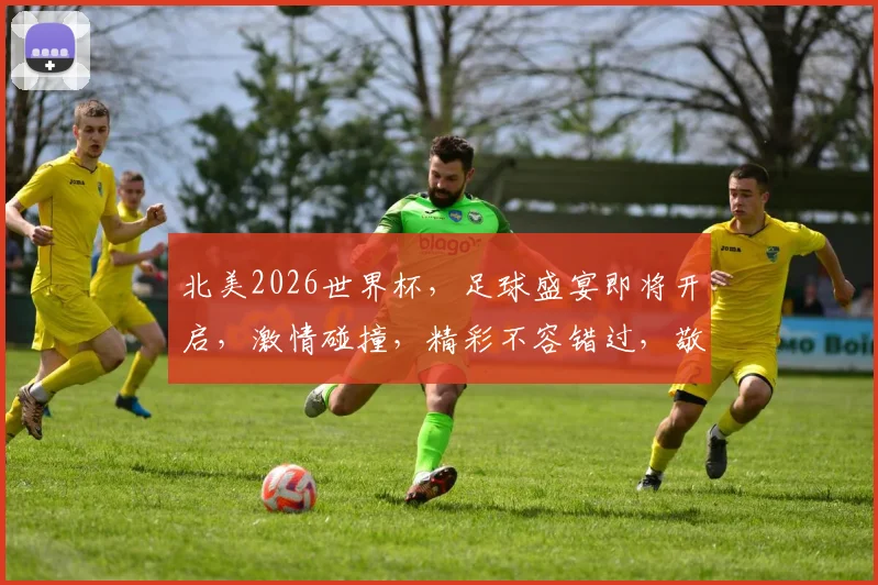 北美2026世界杯，足球盛宴即将开启，激情碰撞，精彩不容错过，敬请期待