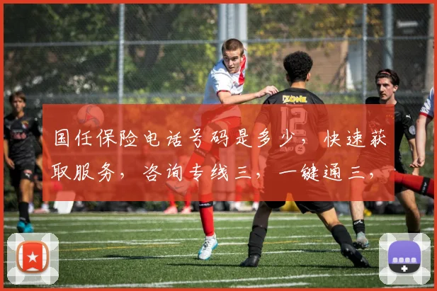 国任保险电话号码是多少，快速获取服务，咨询专线三，一键通三，方便三