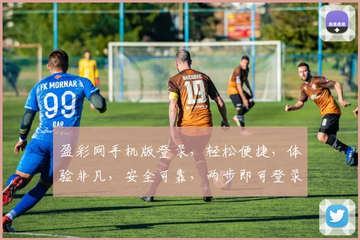 盈彩网手机版登录，轻松便捷，体验非凡，安全可靠，两步即可登录，不容错过