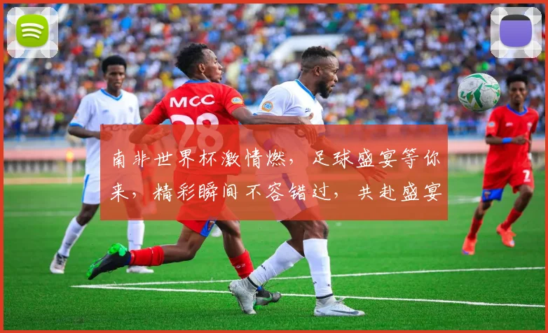 南非世界杯激情燃，足球盛宴等你来，精彩瞬间不容错过，共赴盛宴