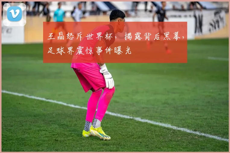 王晶怒斥世界杯，揭露背后黑幕，足球界震惊事件曝光